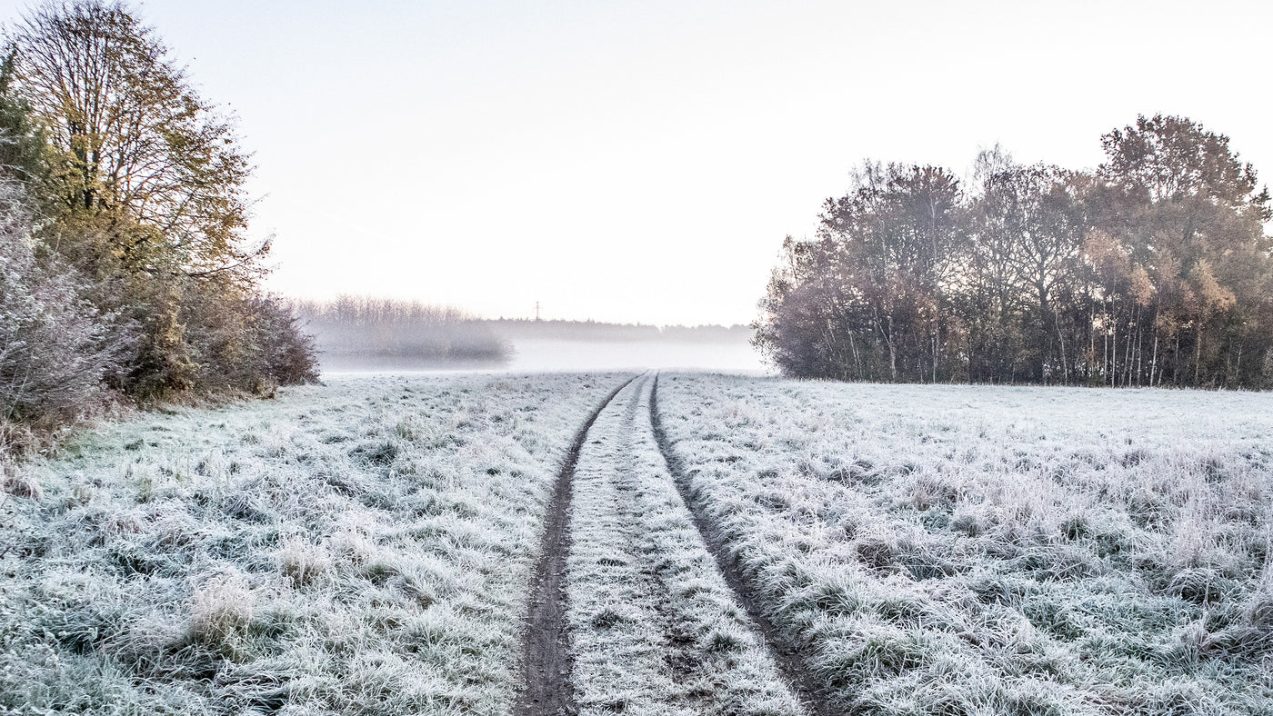 Cold