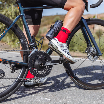 Classic Regular Cut Summer Socks - Archive
